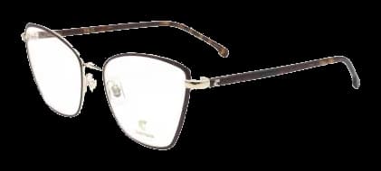 Carrera 3039 Dorado, vista frontal