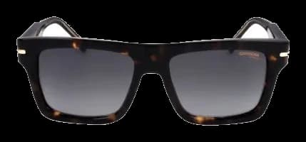 Carrera 305/S Carey, vista frontal